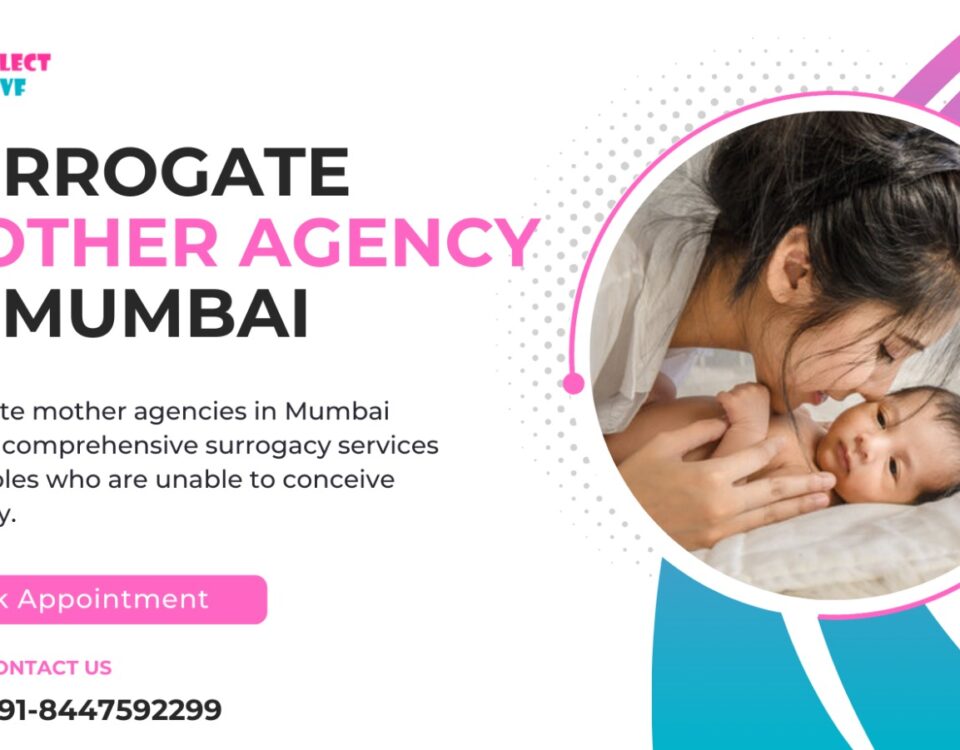 Surrogate Mother Agency in Mumbai
