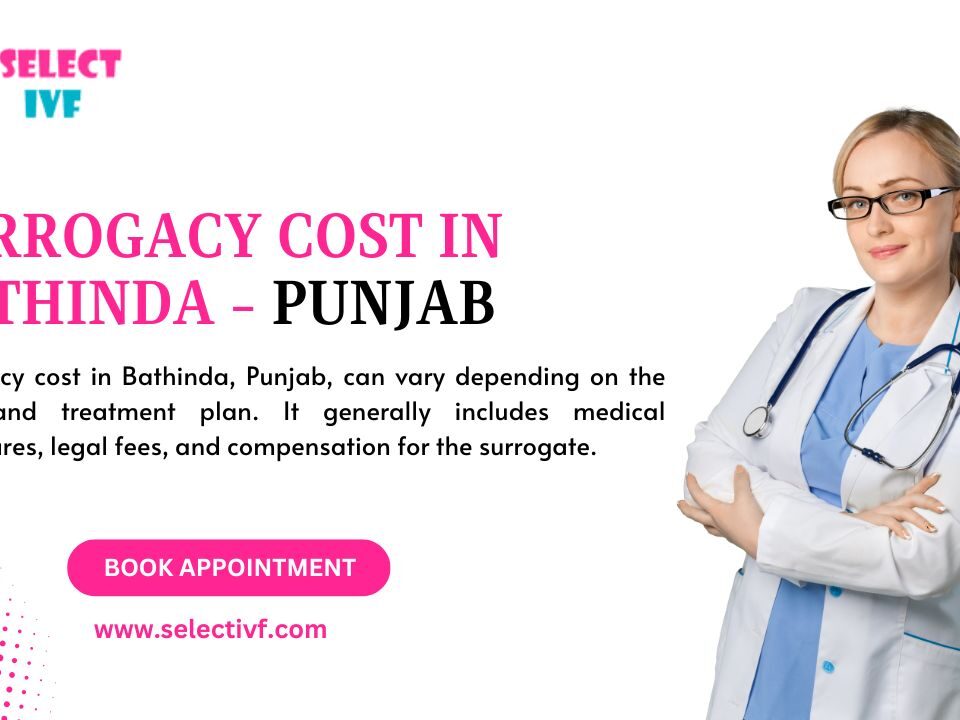 Surrogacy Cost in Bathinda - Punjab