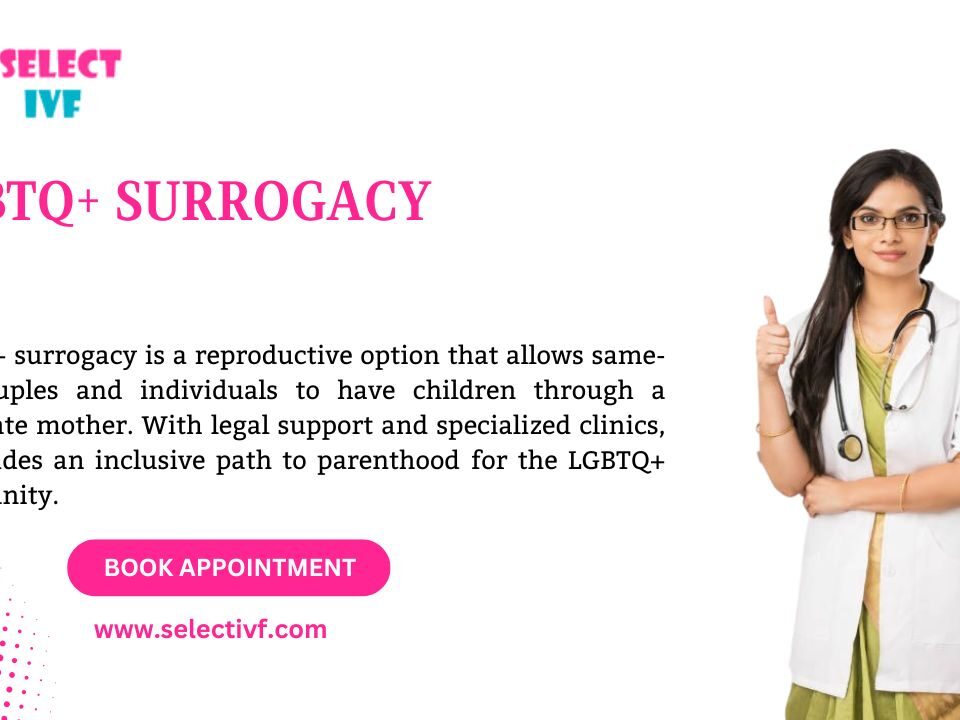LGBTQ+ Surrogacy