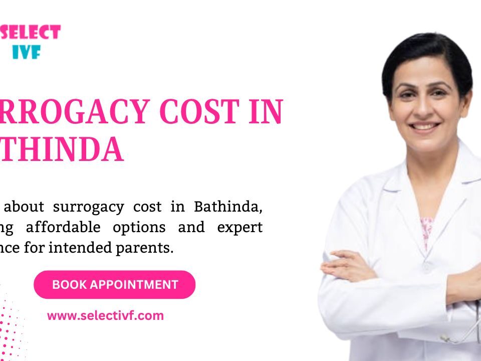 Surrogacy Cost in Bathinda