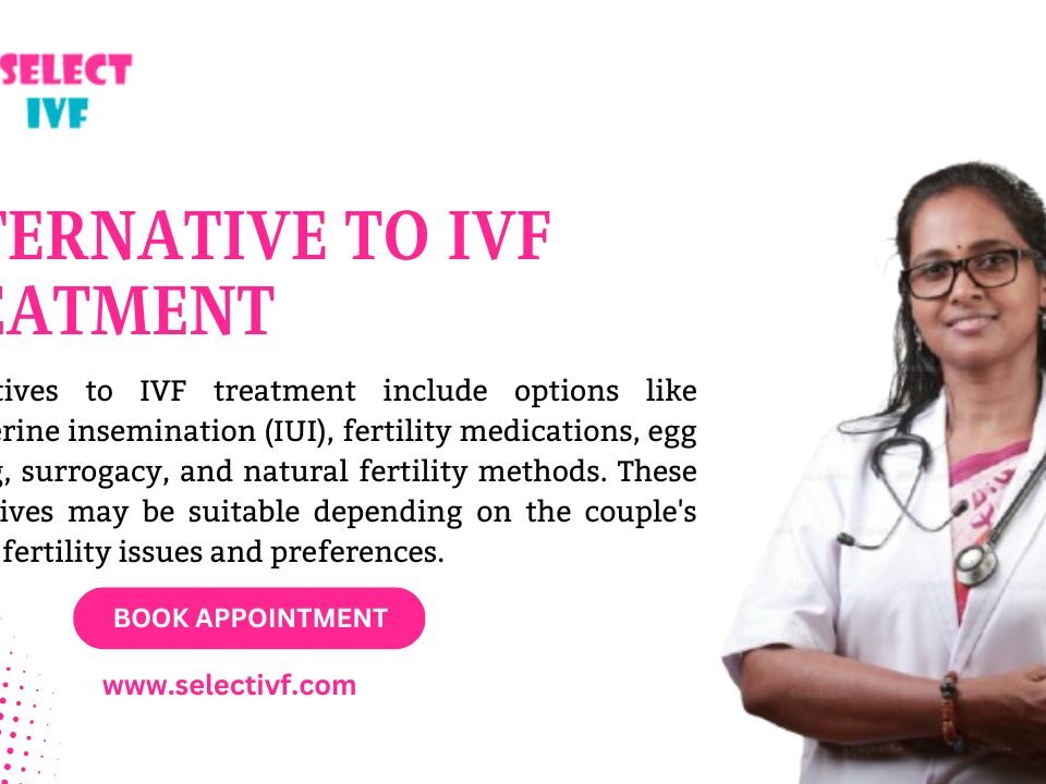 alternative to IVF treatment