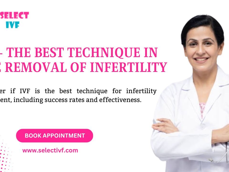 IVF- the best technique in the removal of infertility