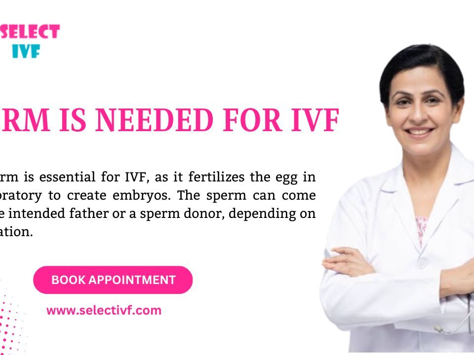 sperm is needed for IVF