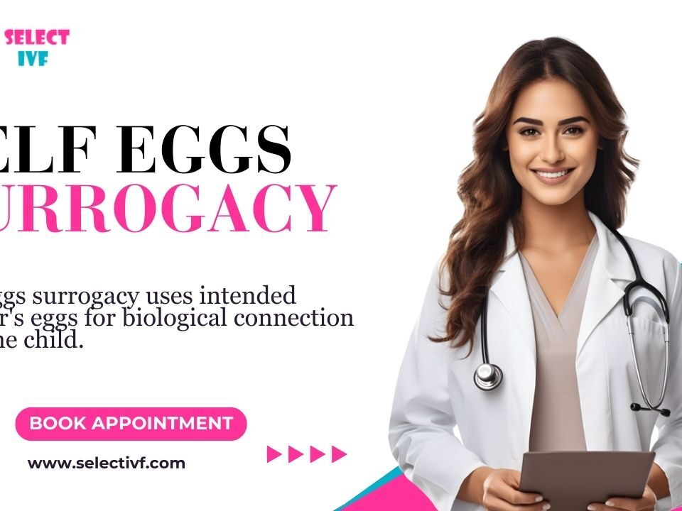 Self Eggs Surrogacy